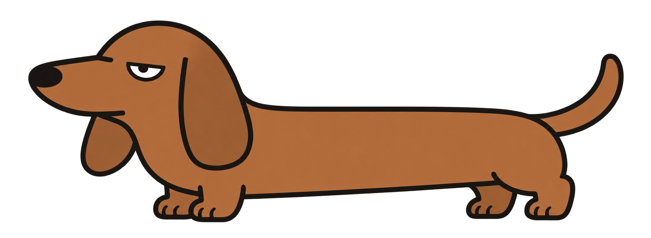 Dobbo, a brown dachshund